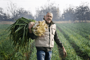 Pagès amb calçots sota el braç salsa